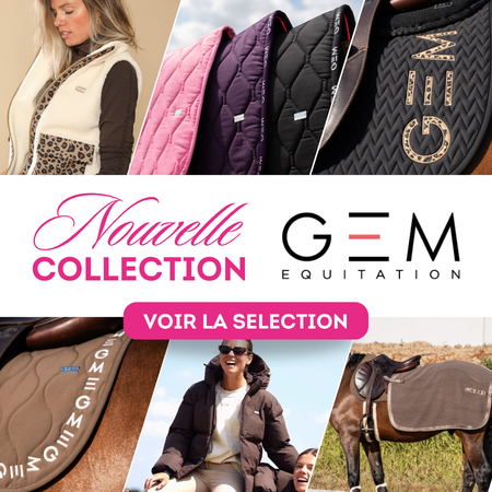 MobFR GEM new co